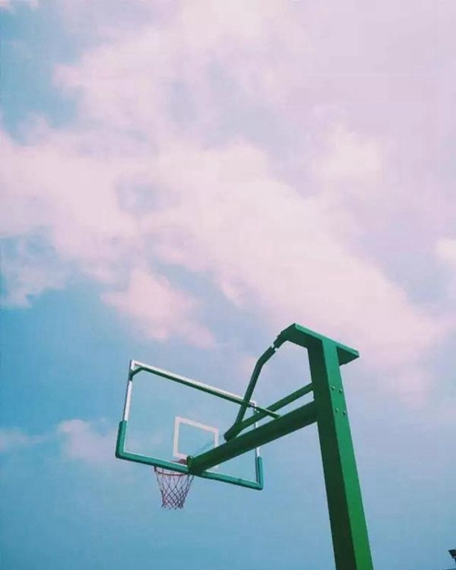成都實(shí)用工程技術(shù)學(xué)?；@球框