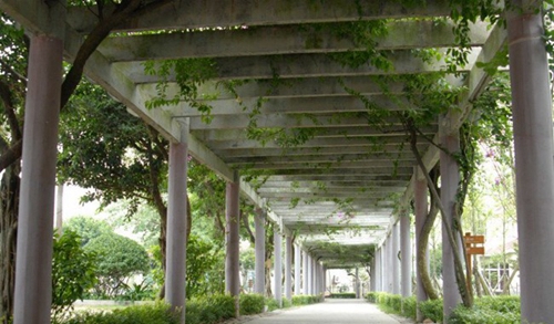 宜賓三峽機電職業(yè)技術(shù)學?，F(xiàn)校區(qū)綠蔭長廊