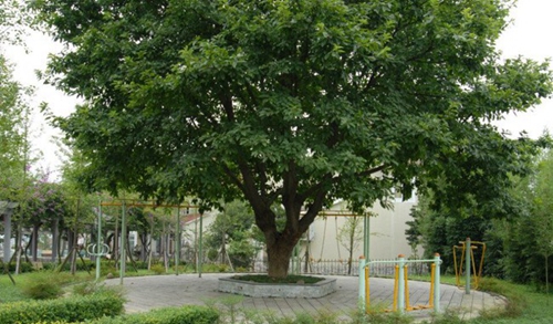 宜賓三峽機電職業(yè)技術(shù)學?，F(xiàn)校區(qū)健身綠道