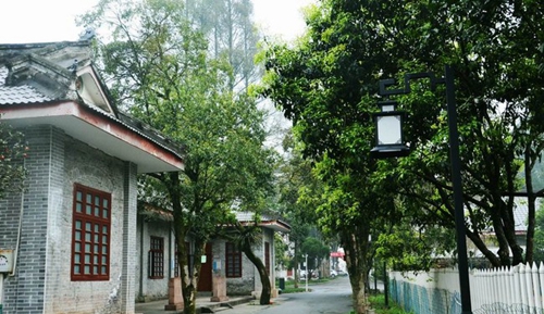 四川省檔案學校校園道路