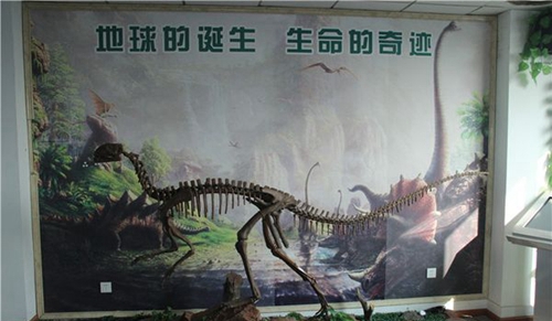 四川礦產(chǎn)機電技師學院地質(zhì)展廳