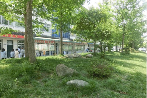 四川育英醫(yī)養(yǎng)科技技工學校綠樹成蔭