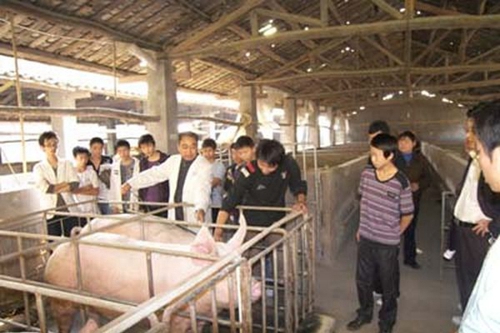 巴中市巴州區(qū)化成職業(yè)中學(xué)農(nóng)學(xué)實(shí)習(xí)基地