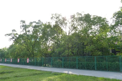 岳池縣職業(yè)技術(shù)學(xué)校校園小道
