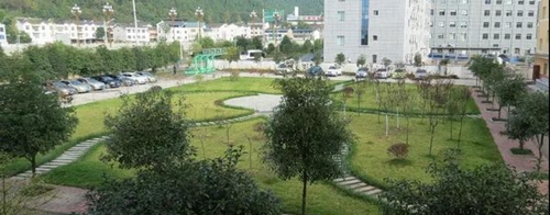 廣元市昭化區(qū)職業(yè)高級中學春韻