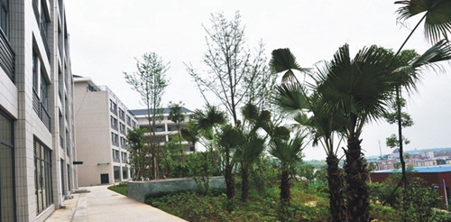 四川省綿陽農(nóng)業(yè)學(xué)校(綿陽工程技術(shù)學(xué)校)工程系實(shí)訓(xùn)樓