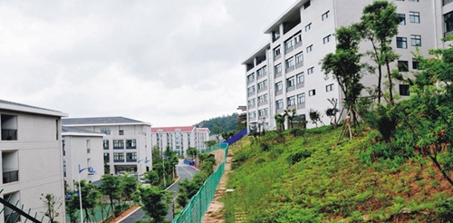 四川省綿陽農(nóng)業(yè)學(xué)校(綿陽工程技術(shù)學(xué)校)后山景觀