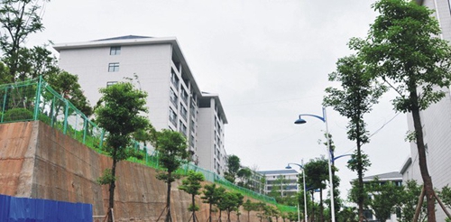 四川省綿陽農(nóng)業(yè)學校(綿陽工程技術(shù)學校)校園2號路連接三系實訓大樓