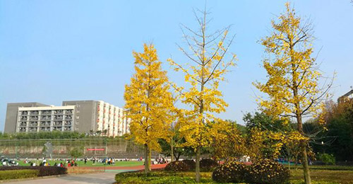 重慶醫(yī)藥高等專科學(xué)校醫(yī)專之秋