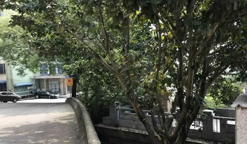 樂山職業(yè)技術(shù)學(xué)院校園過道