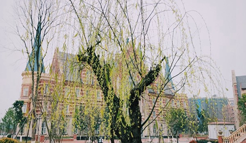 四川文化傳媒職業(yè)學(xué)院校園春色