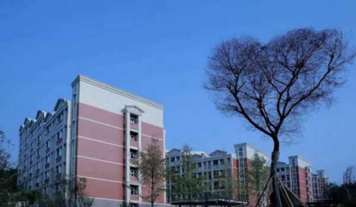 四川中醫(yī)藥高等專科學(xué)校學(xué)生宿舍風(fēng)景