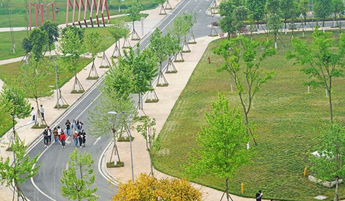 德陽(yáng)城市軌道交通職業(yè)學(xué)院校園干道