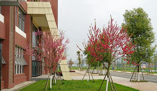 德陽(yáng)城市軌道交通職業(yè)學(xué)院校園一隅