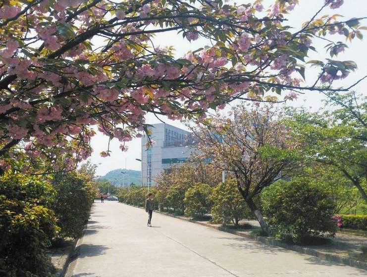 重慶益民技工學校在哪里、學校地址