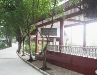 重慶市行知職業(yè)技術(shù)學(xué)校招生對象、招生要求