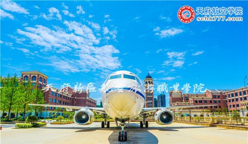 天府新區(qū)航空旅游職業(yè)學(xué)院實(shí)訓(xùn)飛機(jī)2