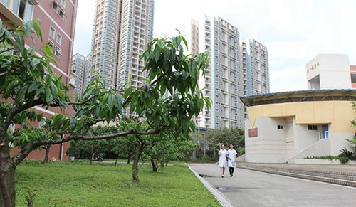 四川護(hù)理職業(yè)學(xué)院校園環(huán)境1