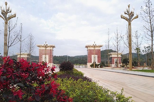 四川護(hù)理職業(yè)學(xué)院校園干道