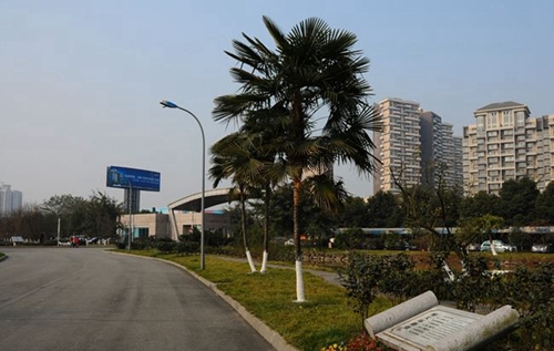 成都七中實(shí)驗(yàn)學(xué)校80天環(huán)游地球