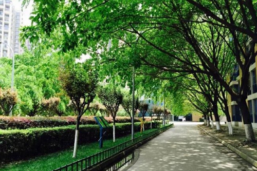 成都七中實(shí)驗(yàn)學(xué)校未名路