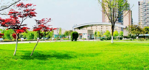 成都七中實(shí)驗(yàn)學(xué)校校門風(fēng)景