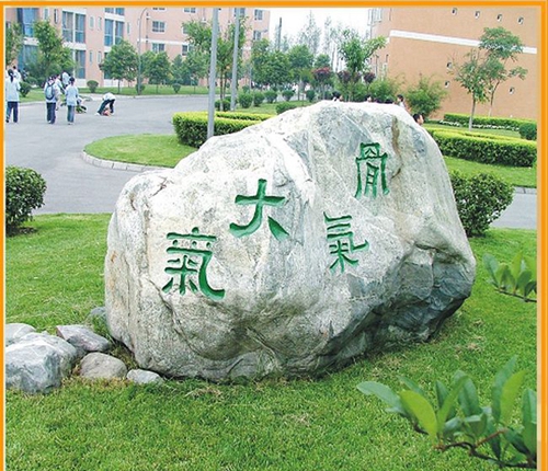 成都七中實(shí)驗(yàn)學(xué)校校園石