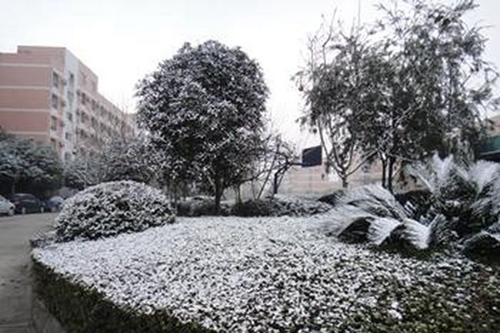 成都七中實(shí)驗(yàn)學(xué)校校園雪景