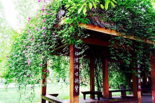 成都七中實(shí)驗(yàn)學(xué)校子云亭