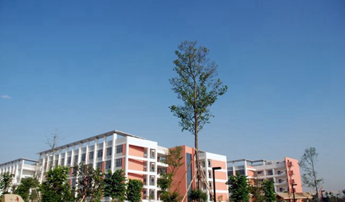 成都樹(shù)德中學(xué)光華校區(qū)教學(xué)樓4