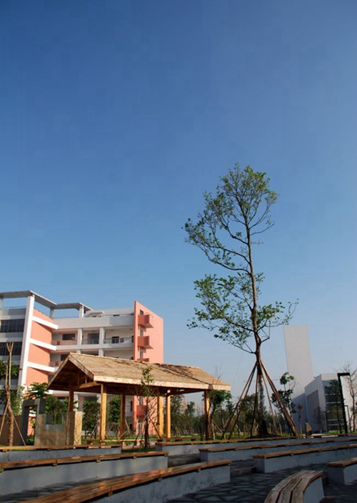 成都樹(shù)德中學(xué)光華校區(qū)校園風(fēng)光
