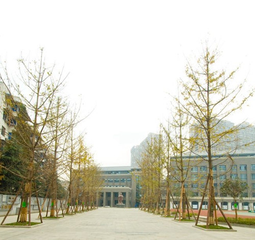 成都樹(shù)德中學(xué)校園行道