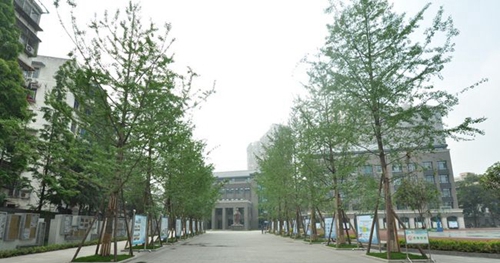 成都樹(shù)德中學(xué)銀杏大道