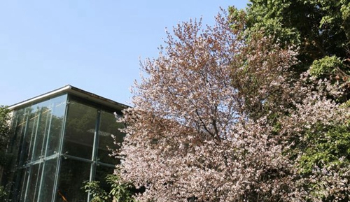 四川師范大學(xué)附屬第一實驗中學(xué)春色滿園（龍泉校區(qū)）