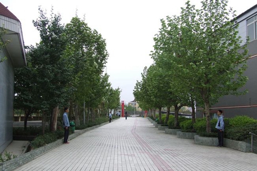 四川師范大學(xué)附屬第一實驗中學(xué)校園行道（錦江校區(qū)）