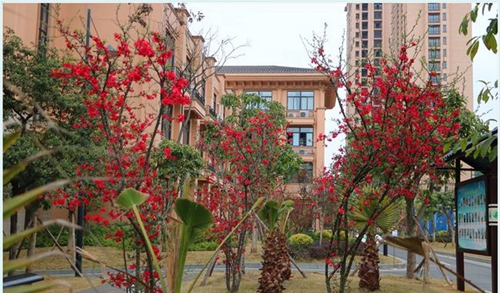 四川師范大學(xué)附屬第一實驗中學(xué)校園景色2（天府校區(qū)）