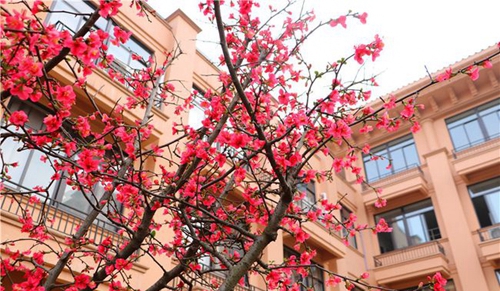 四川師范大學(xué)附屬第一實驗中學(xué)校園美景（天府校區(qū)）