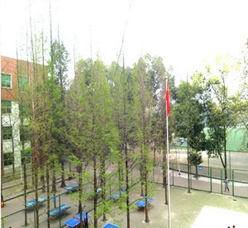 西華大學(xué)附屬實(shí)驗(yàn)學(xué)校乒乓球場