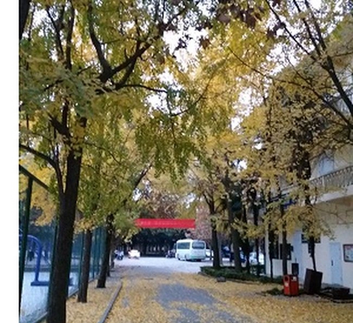 西華大學(xué)附屬實(shí)驗(yàn)學(xué)校學(xué)校西門