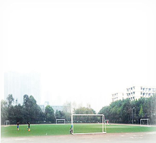西華大學(xué)附屬實(shí)驗(yàn)學(xué)校學(xué)校足球場