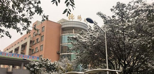 德陽市第五中學(xué)校園雪景4