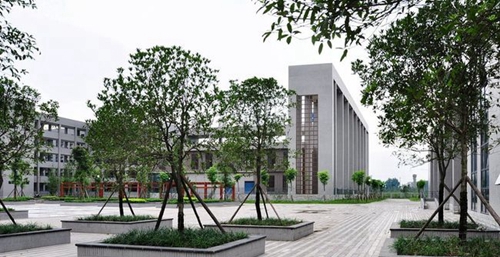 德陽市第五中學(xué)校園一角