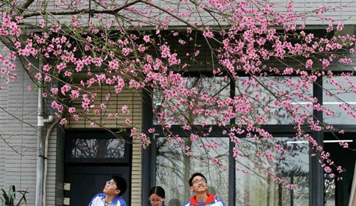 德陽市第五中學(xué)校園一角3