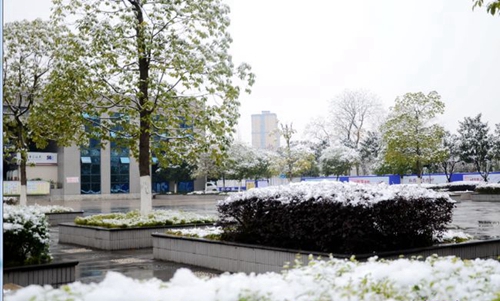 德陽市第五中學(xué)校園雪景
