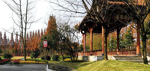 成都玉壘中學(xué)亭臺假山畔