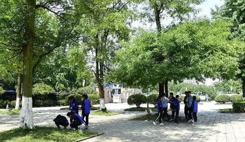 成都雙流中學(xué)實(shí)驗(yàn)學(xué)校校園綠蔭