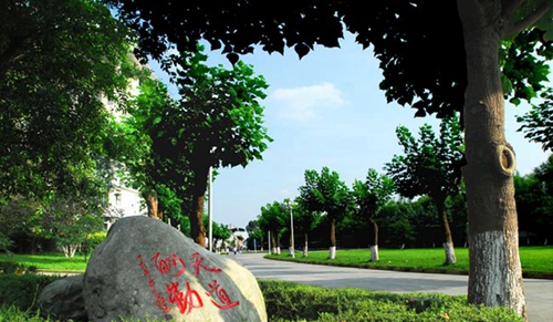 成都棠湖外國語學(xué)校林蔭道