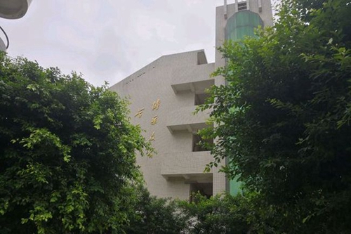 威遠(yuǎn)中學(xué)校樹蔭