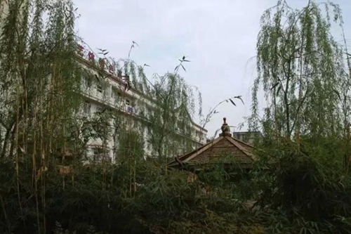 四川省成都市龍泉第二中學(xué)校園風(fēng)景、