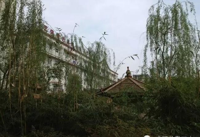 四川省成都市龍泉第二中學(xué)校園風(fēng)景、